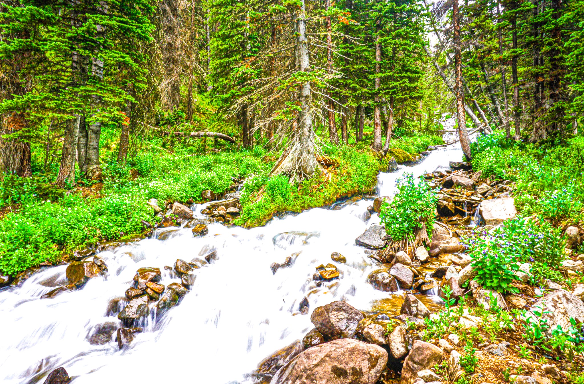 "Flowing Stream High-Up in the Rocky Mountains"