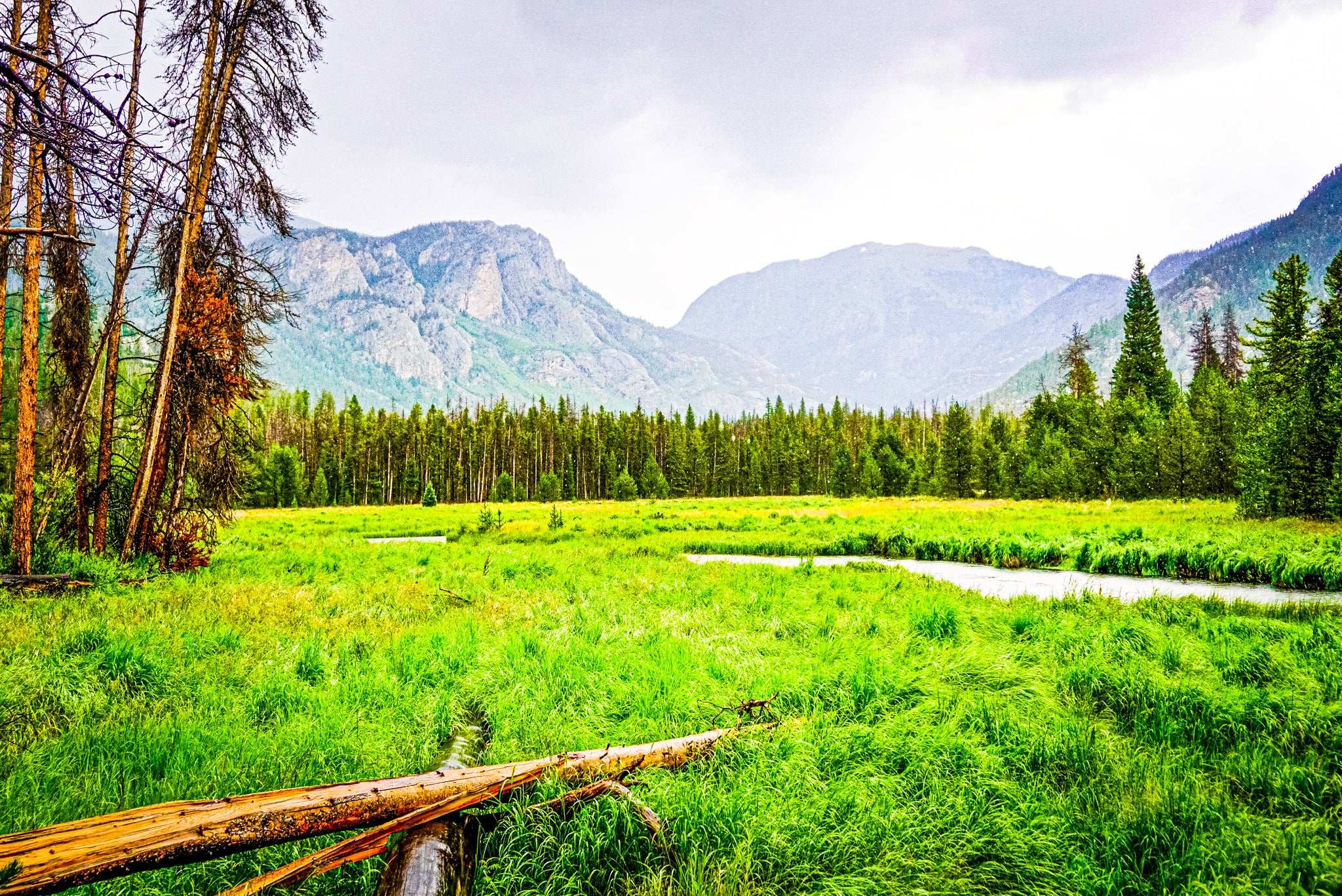 "Rainy Afternoon in a Rocky Mountain Valley"