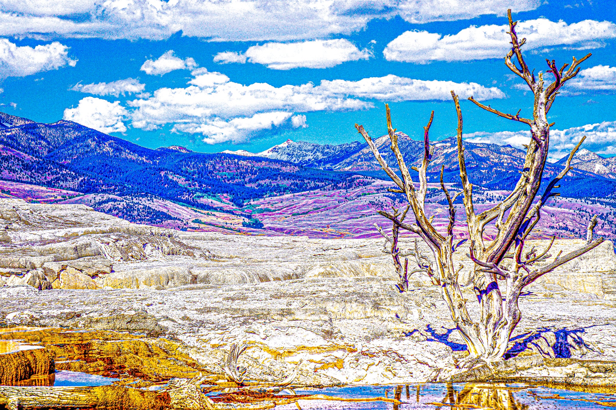 "Mammoth Hot Springs in Yellowstone National Park"