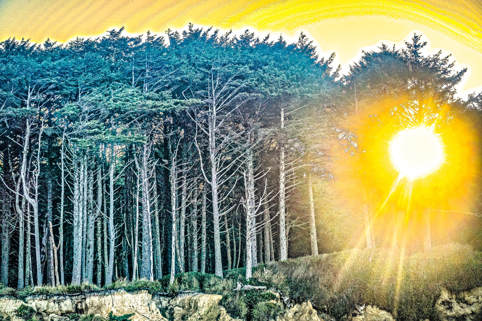 Hues and highlights of white and yellow permeate the landscape like an all-giving source of life. The trees, grass, and even rocks are amongst the primary beneficiaries.