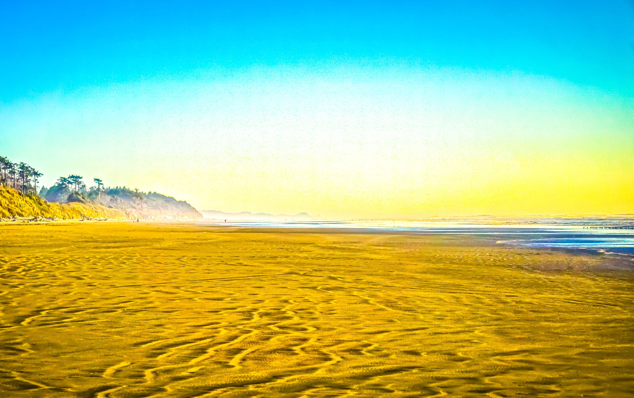 "Wide-Open Ruby Beach at Olympic National Park"